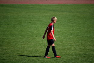 开云体育官网上-NBA球员训练方法创新，nba球员训练视频,篮球技术