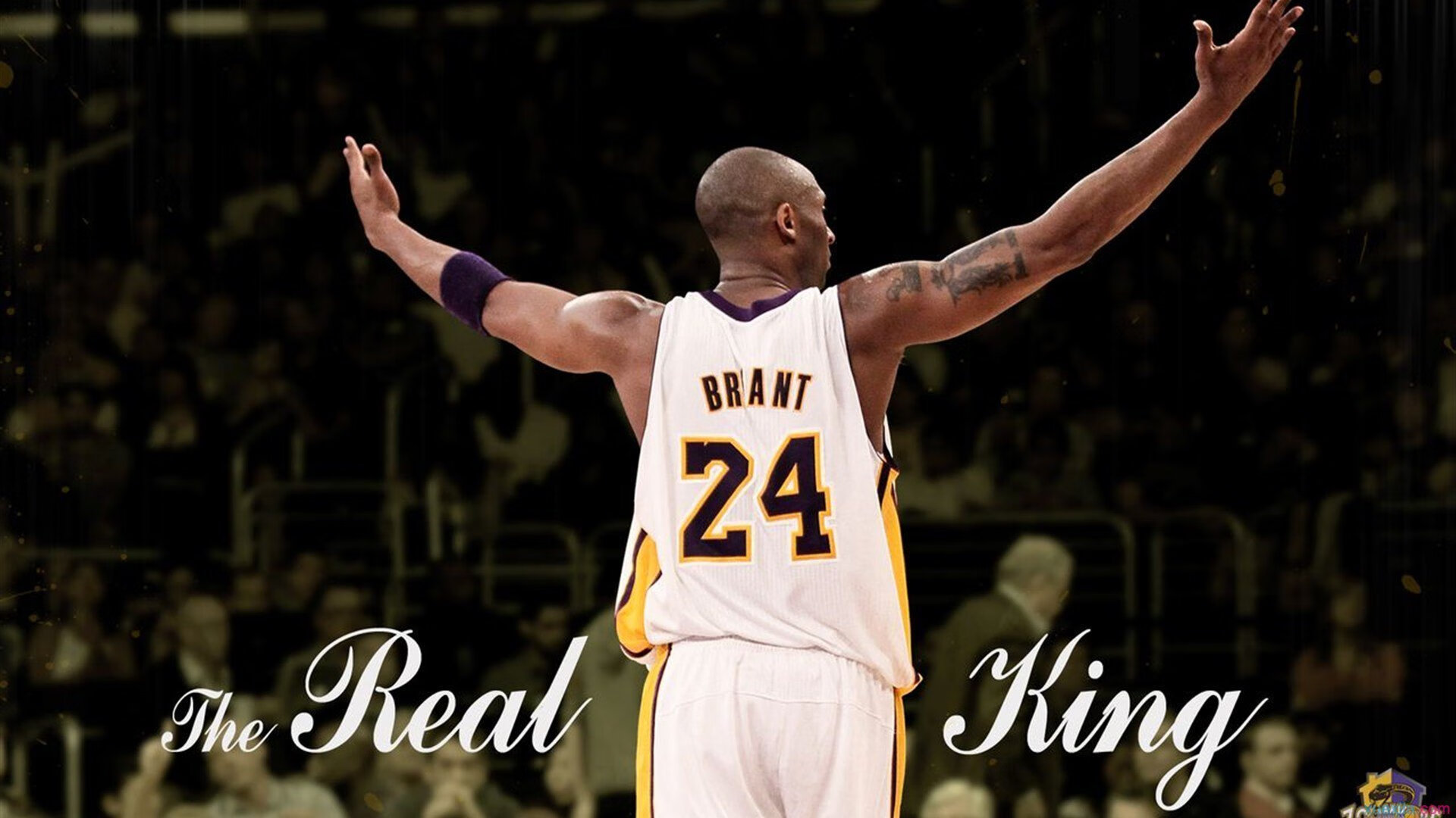 NBA球员赛季表现复盘，nba赛季总结